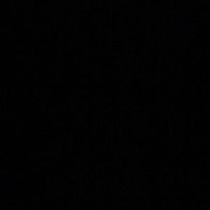 Meet your Posher, Darlene